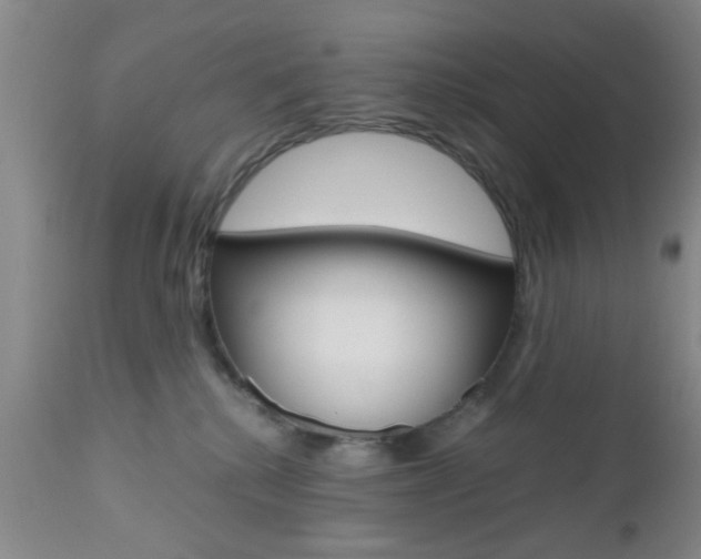 X0000111010280200906191214