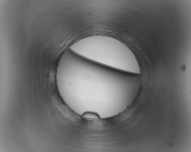 X0000111010282200906191214