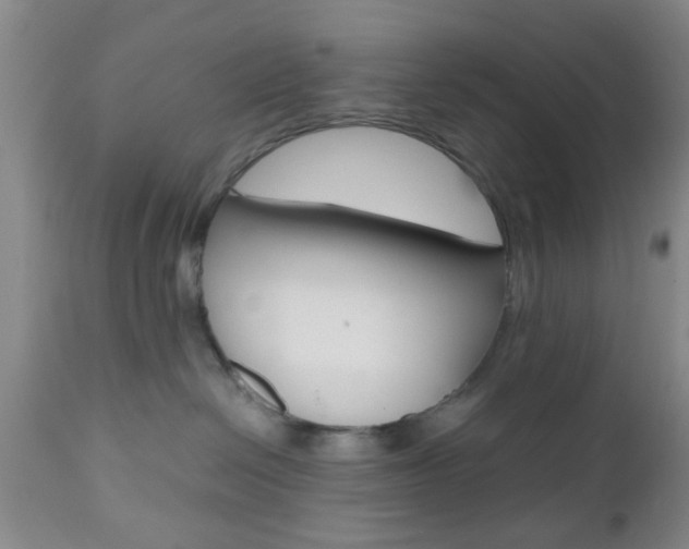 X0000111010286200906191214