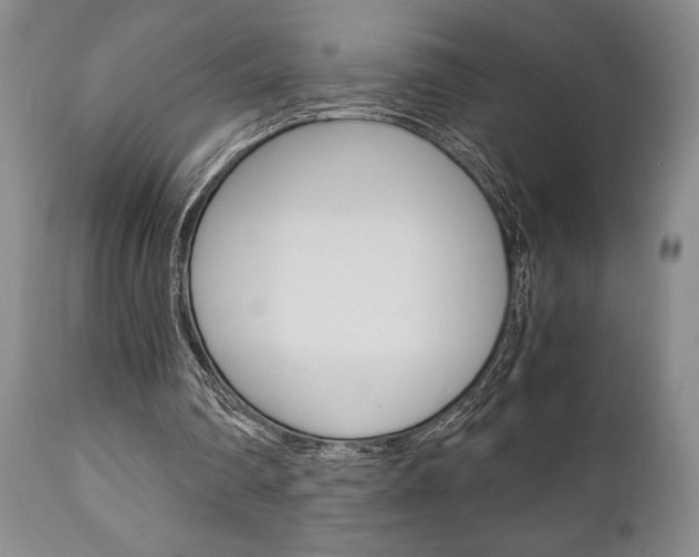 X0000111010290200906191214