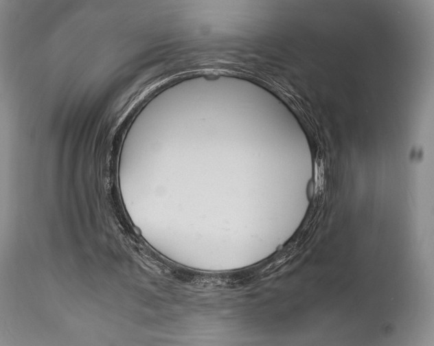 X0000111010291200906191214