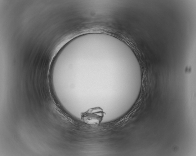 X0000111010292200906191214