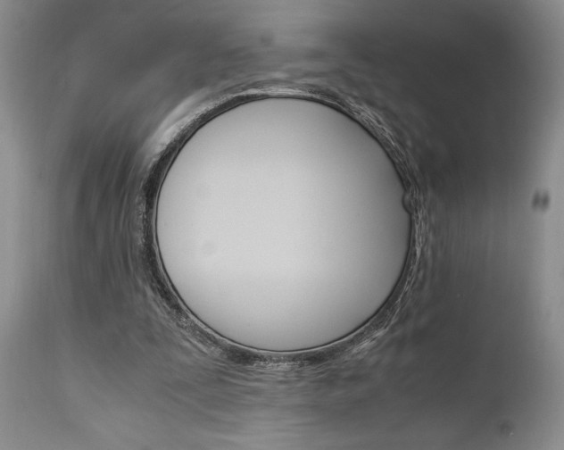 X0000111010295200906191214