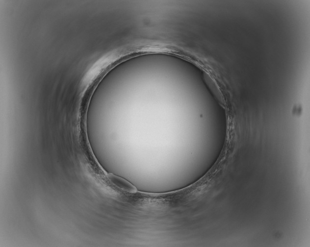 X0000111010296200906191214
