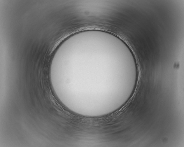 X0000111010297200906191214