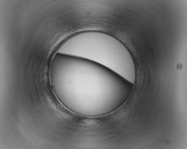 X0000111010300200906191213