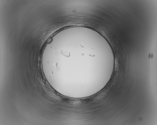 X0000111010301200906191213