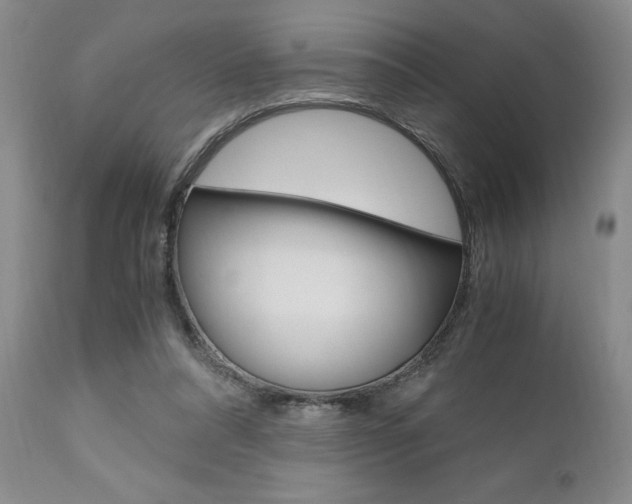 X0000111010304200906191213
