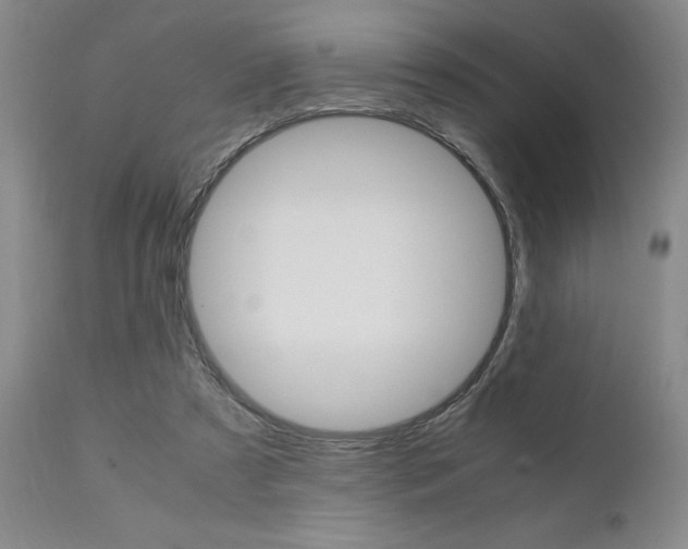 X0000111010305200906191213