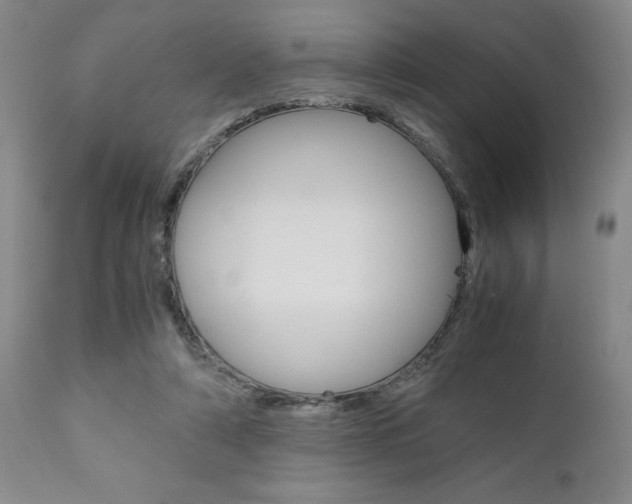 X0000111010306200906191213