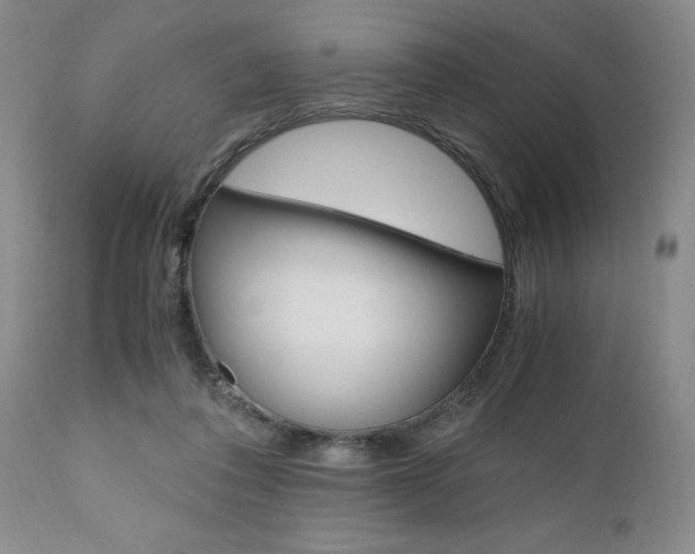 X0000111010308200906191213