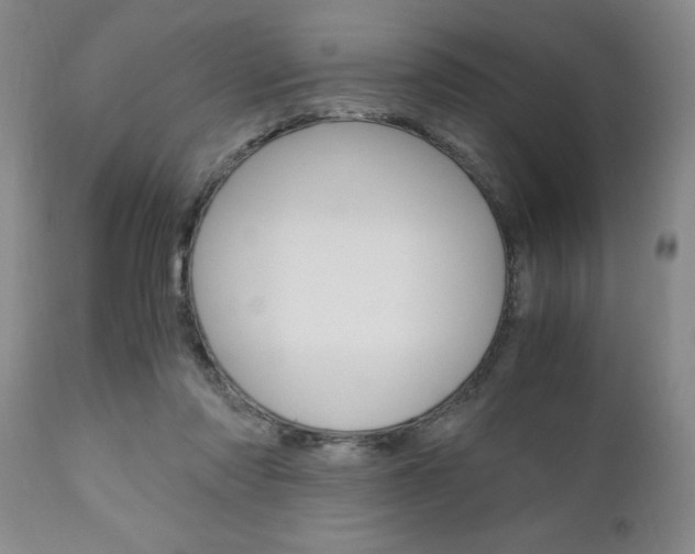 X0000111010310200906191213