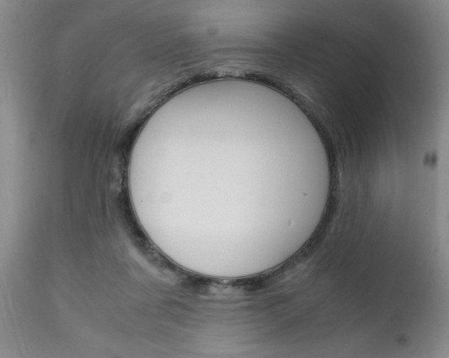 X0000111010311200906191213