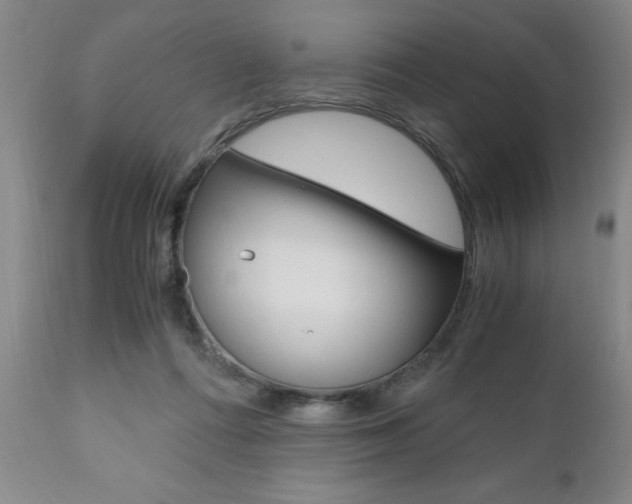X0000111010312200906191213