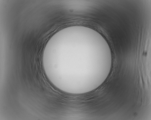 X0000111010313200906191213