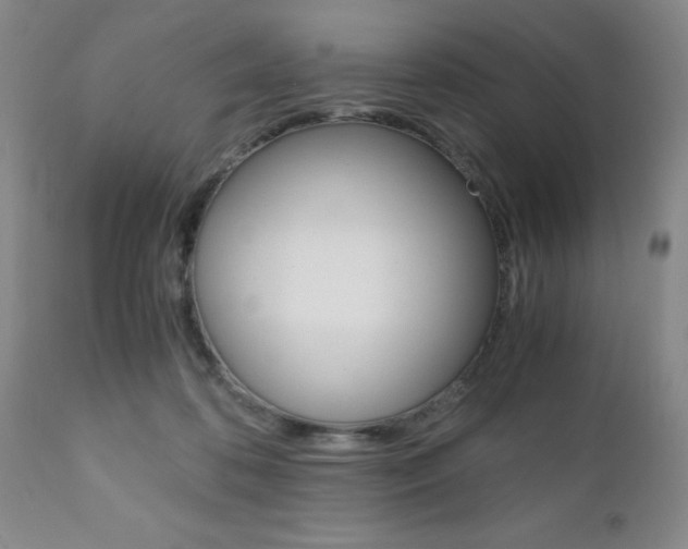 X0000111010316200906191213