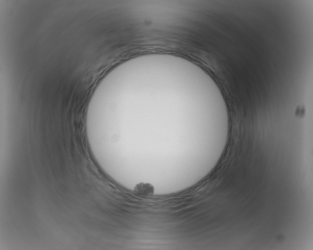 X0000111010317200906191213
