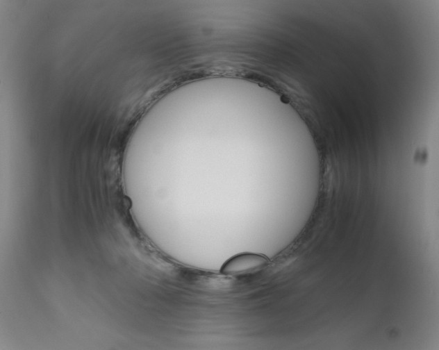 X0000111010318200906191213