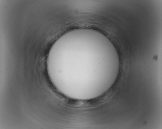 X0000111010319200906191213