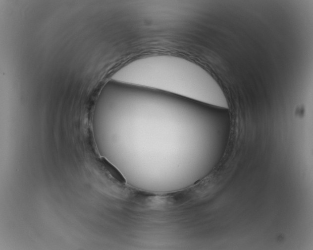 X0000111010320200906191213