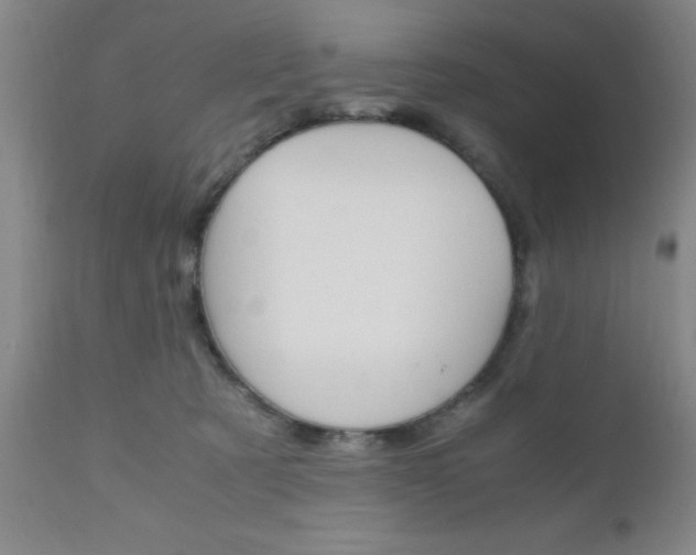 X0000111010321200906191213