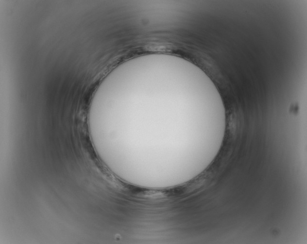 X0000111010322200906191213