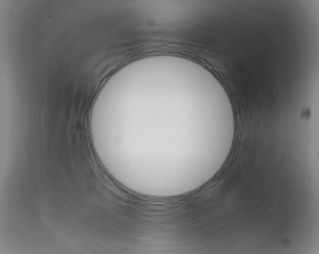 X0000111010325200906191213