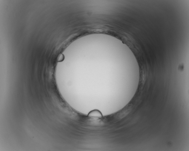 X0000111010326200906191213