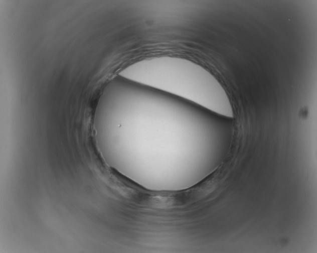 X0000111010328200906191213