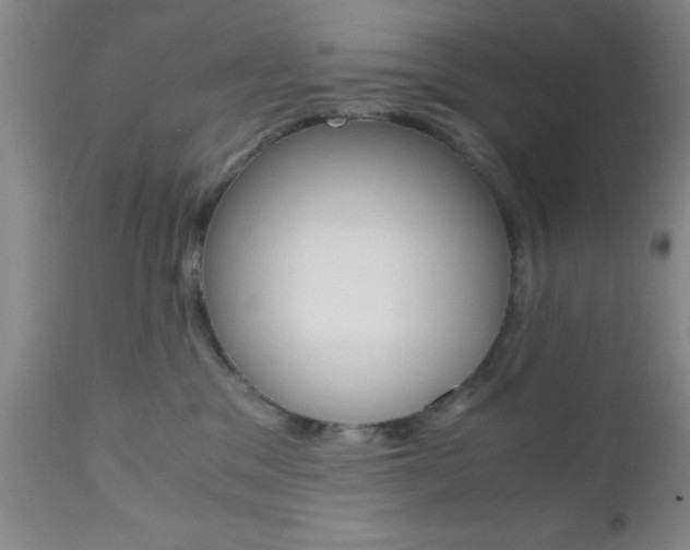 X0000111010329200906191213