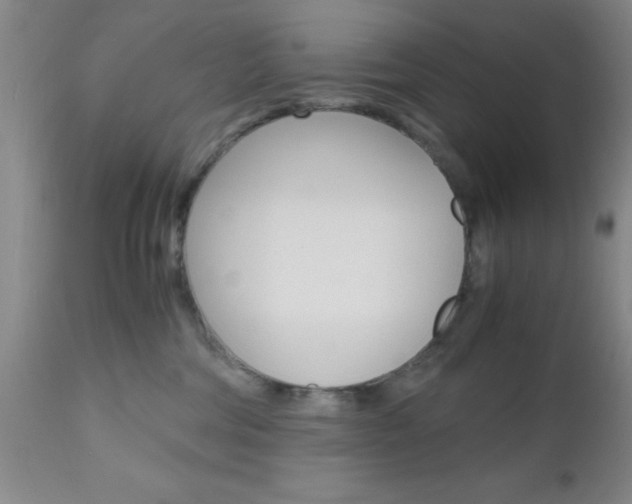 X0000111010330200906191213