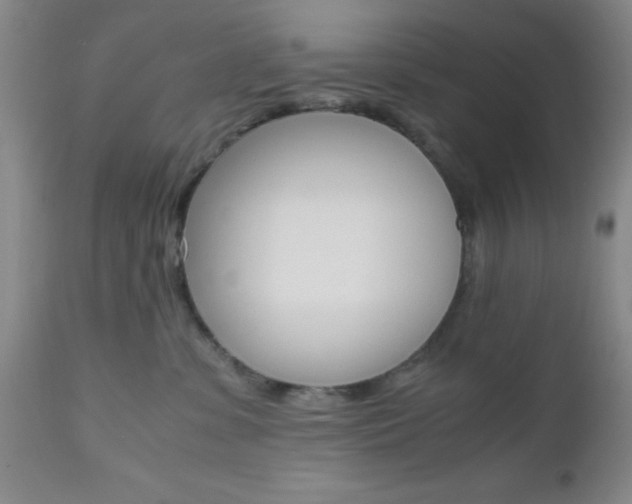 X0000111010331200906191213