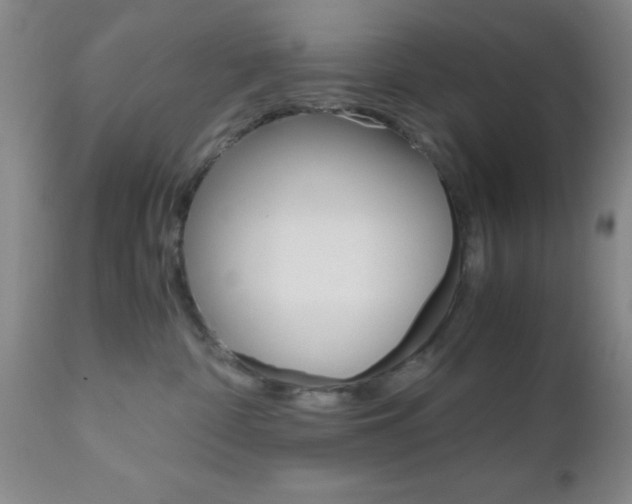 X0000111010332200906191213