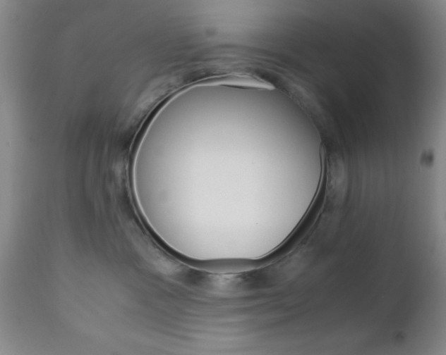 X0000111010333200906191213