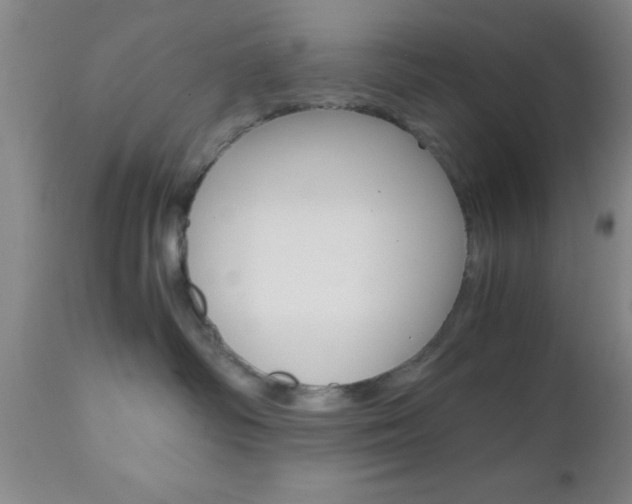 X0000111010334200906191213