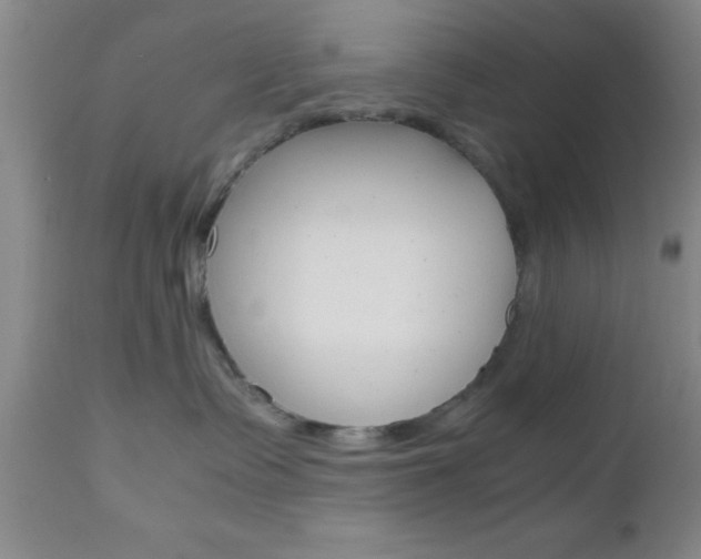 X0000111010335200906191213
