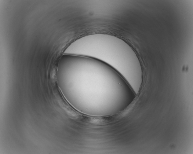 X0000111010336200906191213