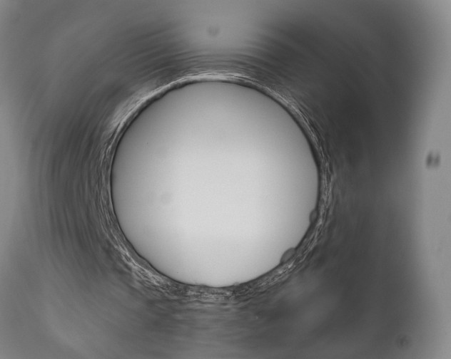 X0000111010337200906191212
