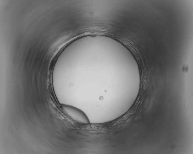 X0000111010338200906191212