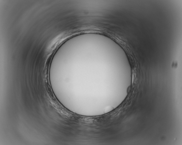 X0000111010339200906191212