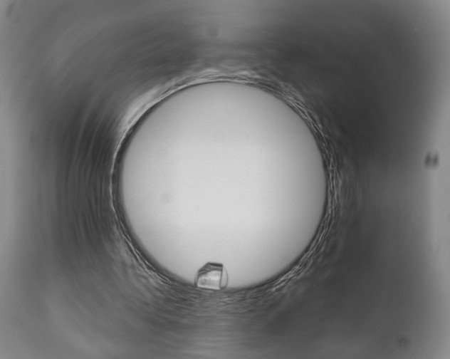 X0000111010340200906191212