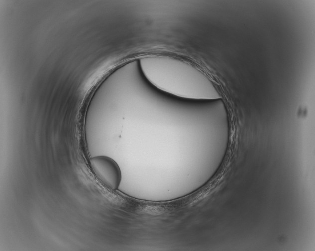 X0000111010341200906191212
