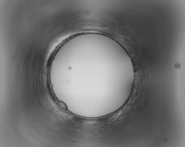 X0000111010342200906191212