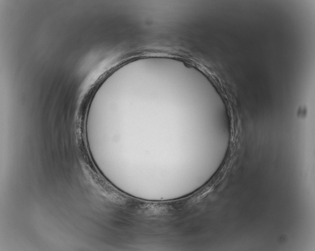 X0000111010343200906191212