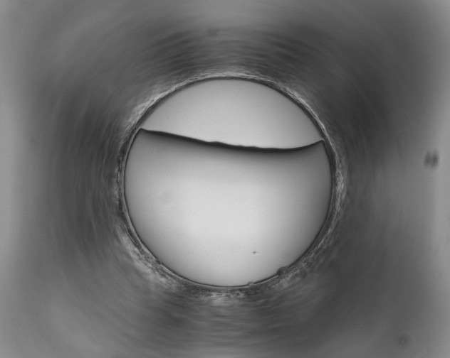 X0000111010345200906191212