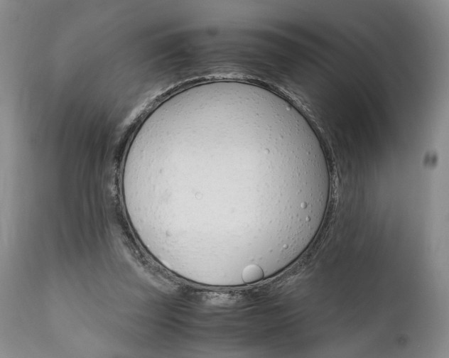 X0000111010347200906191212