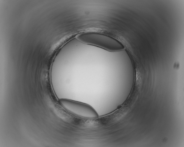 X0000111010348200906191212