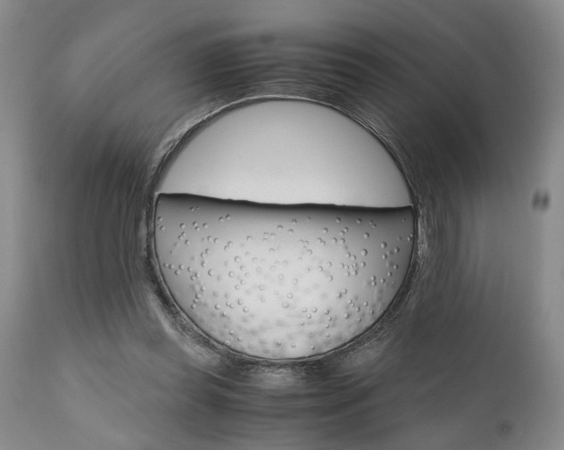 X0000111010349200906191212