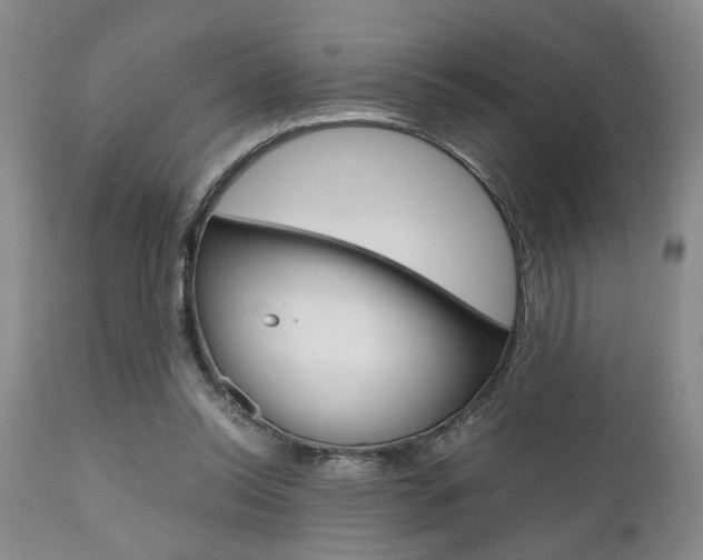 X0000111010350200906191212