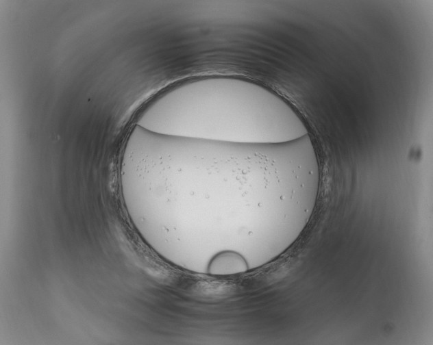 X0000111010351200906191213